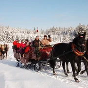 Schlittenfahrten