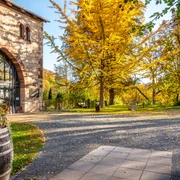 (c) Stadtmarketing_Brunshausen.jpg