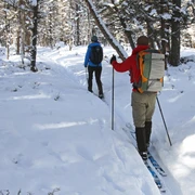 Langläufer bei Saupsdorf