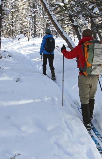 Langläufer bei Saupsdorf