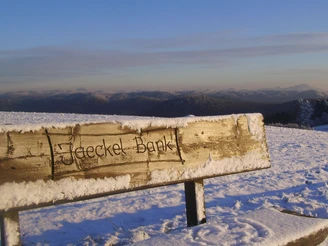 Jaeckel Bank in Hinterhermsdorf