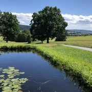Radweg oberhalb von Niederottendorf