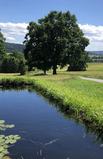 Radweg oberhalb von Niederottendorf