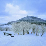 Auf dem Weg zum Geisingberg im Winter