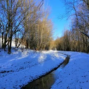 Winterwanderung entlang des Aschergraben - Schwarzwasser