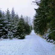 Winterwanderweg zur Tellkoppe - Langer Weg