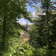 Blick auf Kloster Haina durch den Wald
