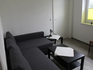 Stellmanns Gästehof Ein kleines Wohnzimmer mit grauen Sofas, dunklen Holztischen und hellem Vinylboden, schlicht und modern.