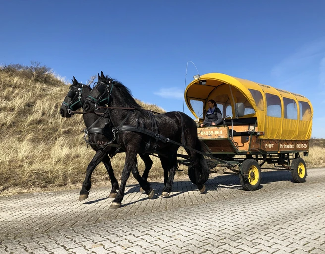 Pferdekutschen auf Juist Flugplatztransfer