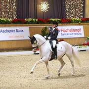 Mädchen reitet auf einem weißen Pferd in einer weihnachtlich geschmückten Reithalle.Girl riding a white horse in an indoor riding arena decorated for Christmas.Une jeune fille chevauche un cheval blanc dans un manège décoré pour Noël.Meisje rijdt op een wit paard in een overdekte rijhal versierd voor Kerstmis.