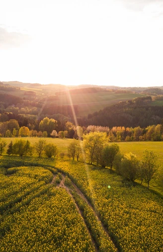 Heideberg in Drebach (2)