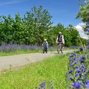 Radweg Falkenstein-Oelsnitz