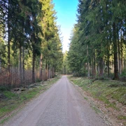 Wanderweg Grünheide barrierefrei