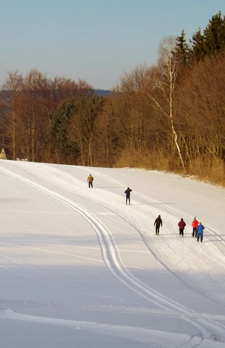 Die fast baumfreie Loipe in Olbernhau