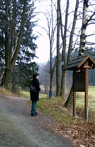 Im Bärenbachtal