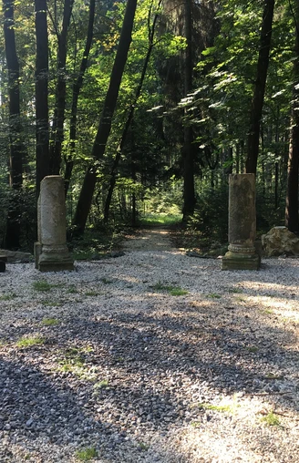 Wettinhain im Buchholzer Wald