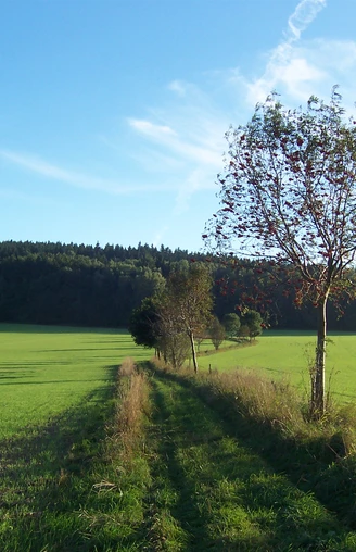 Feldweg