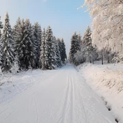 20211212_081624_resized