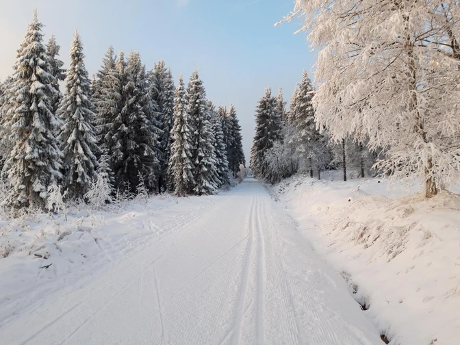 20211212_081624_resized