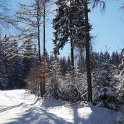 Winterlandschaft am Gerstenberg