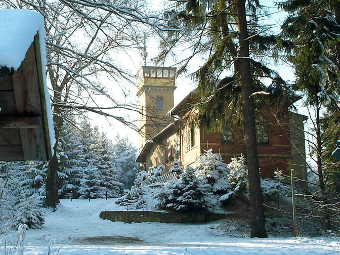 Winterwandern zum Gleesberg