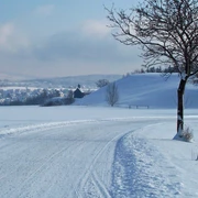 Winterwanderung am Filzteich