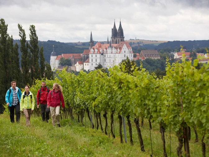 TMGS Weinbergwanderung