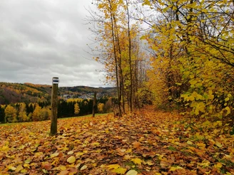 Wandern auf dem Kammweg, Herbst