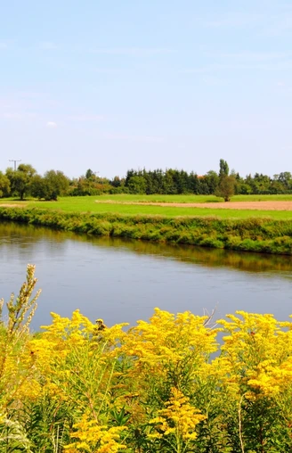 Mulde bei Bad Düben