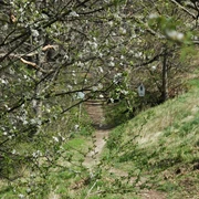 Rundwanderweg Gröditzer Skala - Frühlingserwachen
