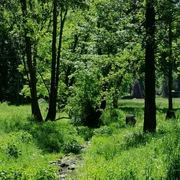 Trebnitzgrund bei Oberschlottwitz