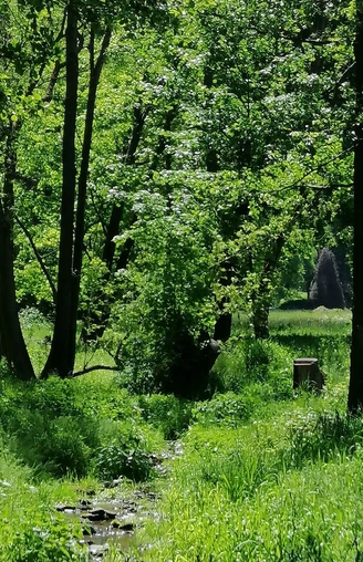 Trebnitzgrund bei Oberschlottwitz