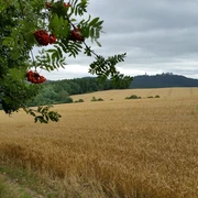 Großer Rundweg Erdmannsdorf Blick auf Augustusburg