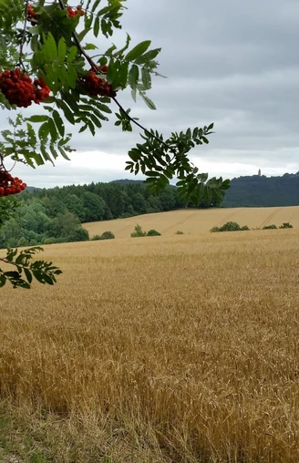 Großer Rundweg Erdmannsdorf Blick auf Augustusburg