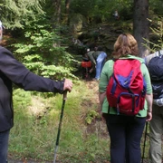 Auf dem Naturlehrpfad