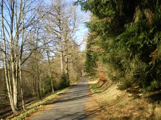Am Flöhatalradweg