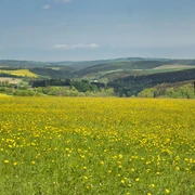 kurz nach Rechenberg-Bienenmühle