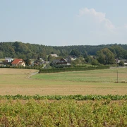 Treuen - Blick in Richtung Perlas