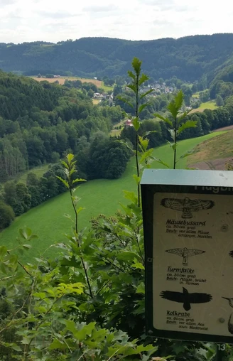 Ausblick am Kunnerstein