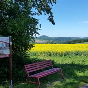 Talsperrenweg zwischen Lauenstein und Liebenau, George-Bähr-Wanderweg