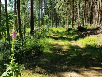 Hennersdorfer Knochenrundweg