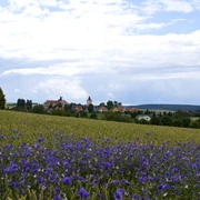 Blick auf Rabenau