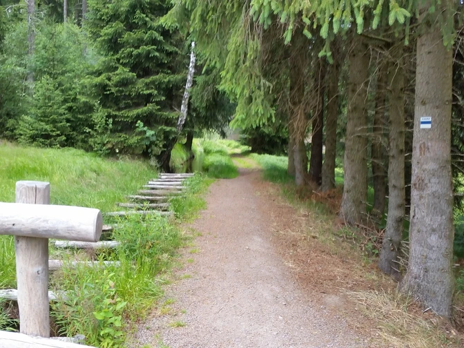 am Grünen Graben