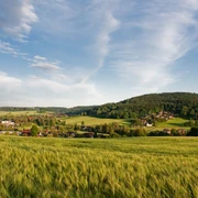 Blick zum Taubenberg