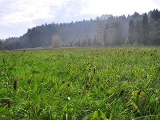 Anfang Naturlehrpfad