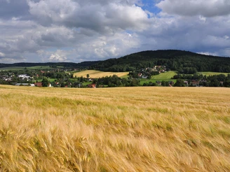 Blick zum Taubenberg