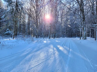 Loipeneinstieg Grünbach