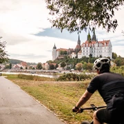 Auf dem Elberadweg in Meißen - Blick auf die Albrechtsburg