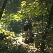 Brücke in der Skala
