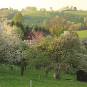 Hagebuttenweg